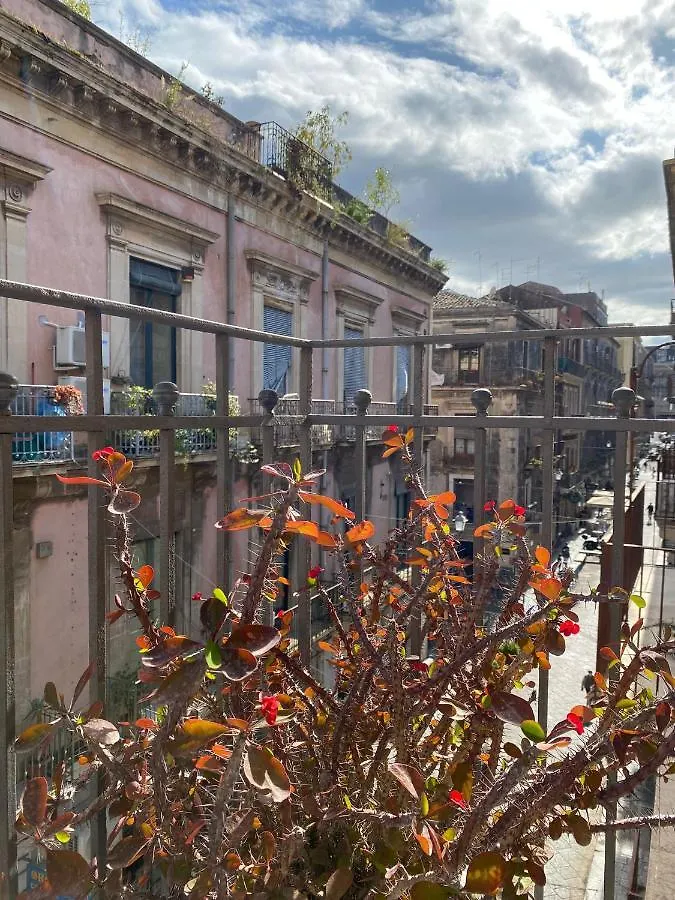 Superior Apartment Catania