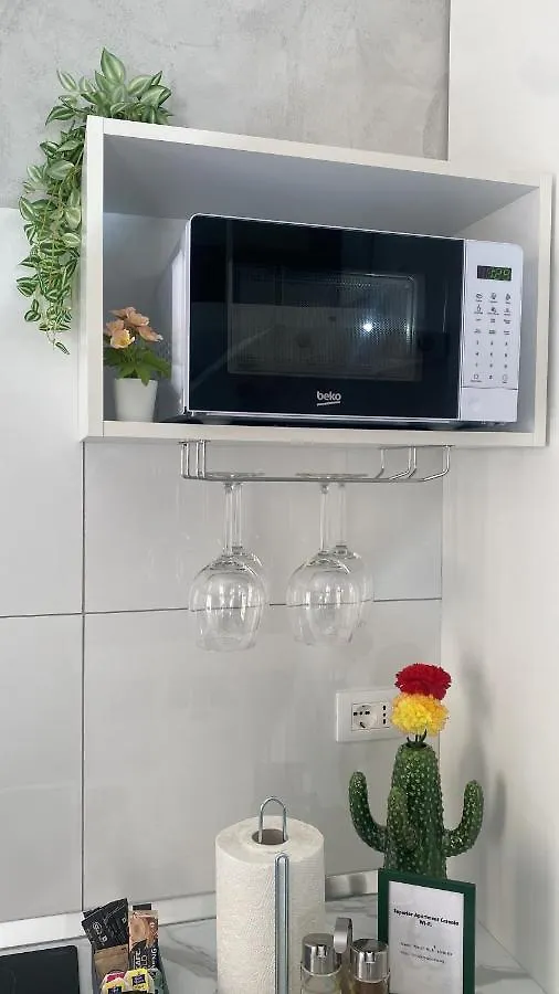 Superior Apartment Catane Italie